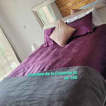 Nidamour La Colombe Romantique Avec Privatif Interieur Castels-et-bezenac